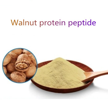 Avantages du peptide de noix